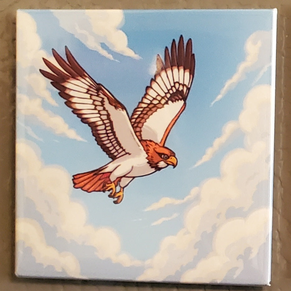 Cartoon Bird Magnets
