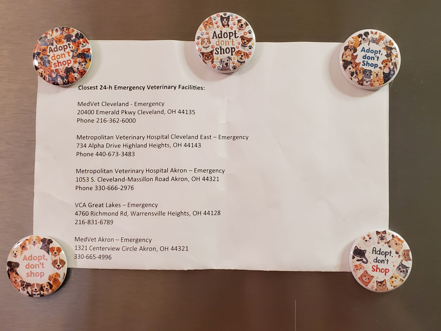 For a Cause Magnet Round - Adopt, don’t shop (OOAK)