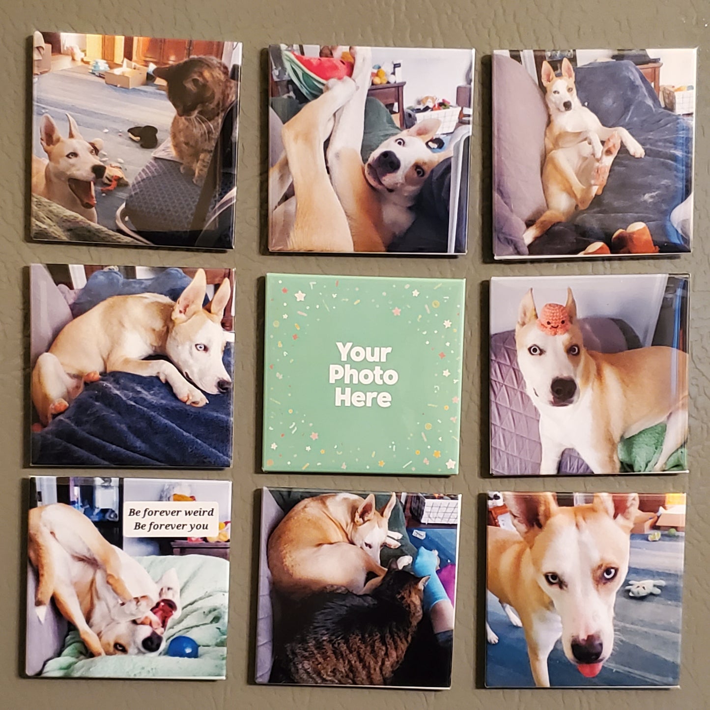 Custom 2x2 Photo Magnet – Personalized Fridge Magnet with Your Image | Bestselling Memory Gift