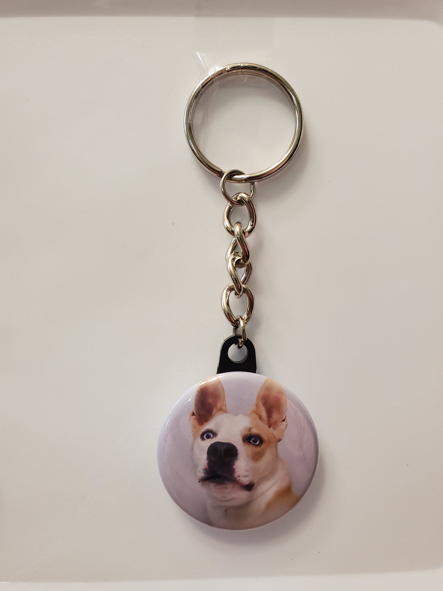 1.5" Round Photo Keychain - Nature & Pet Designs