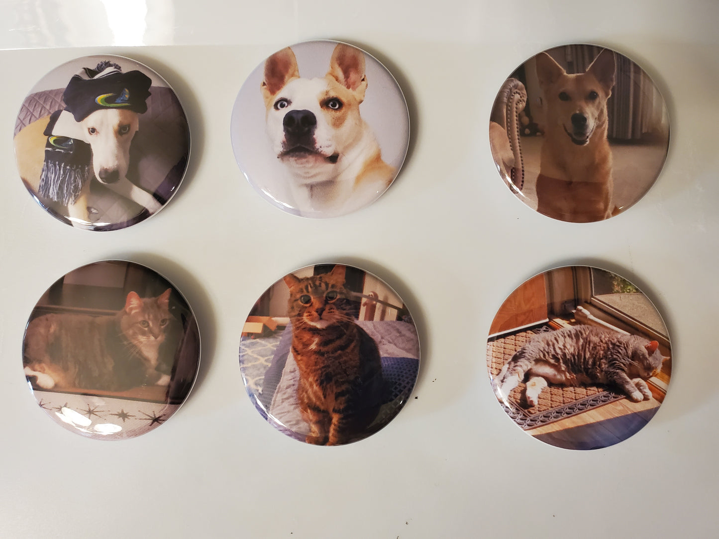 1.5” Round Custom Photo Magnet – Your Memories, Miniaturized with Style! - Set of 6, 9 or 12
