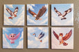 Cartoon Bird Magnets