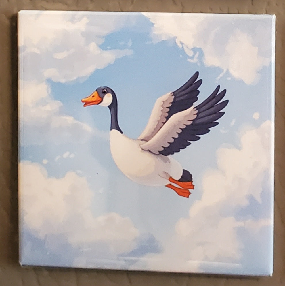 Cartoon Bird Magnets