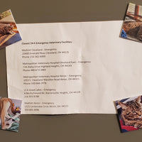 Custom 2x2 Photo Magnet – Personalized Fridge Magnet with Your Image | Bestselling Memory Gift