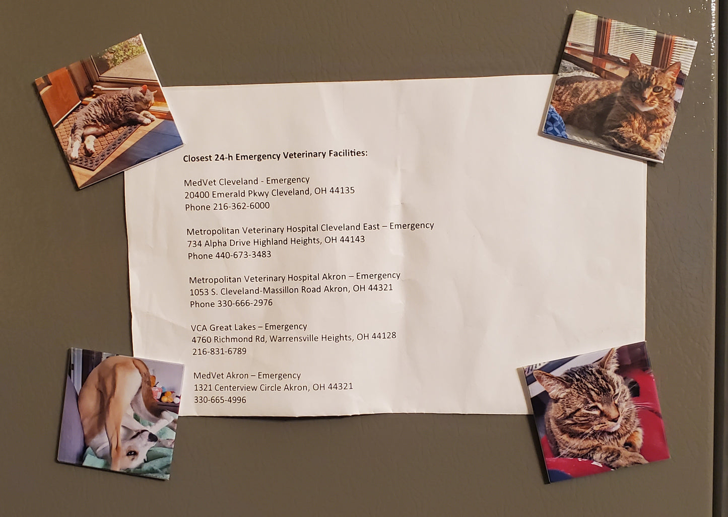 Custom 2x2 Photo Magnet – Personalized Fridge Magnet with Your Image | Bestselling Memory Gift