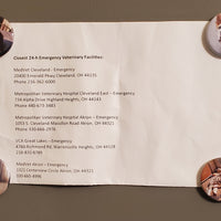 Custom 1.5” Round Custom Photo Magnet – Personalized Fridge Magnet with Your Picture | Small Memory Gift