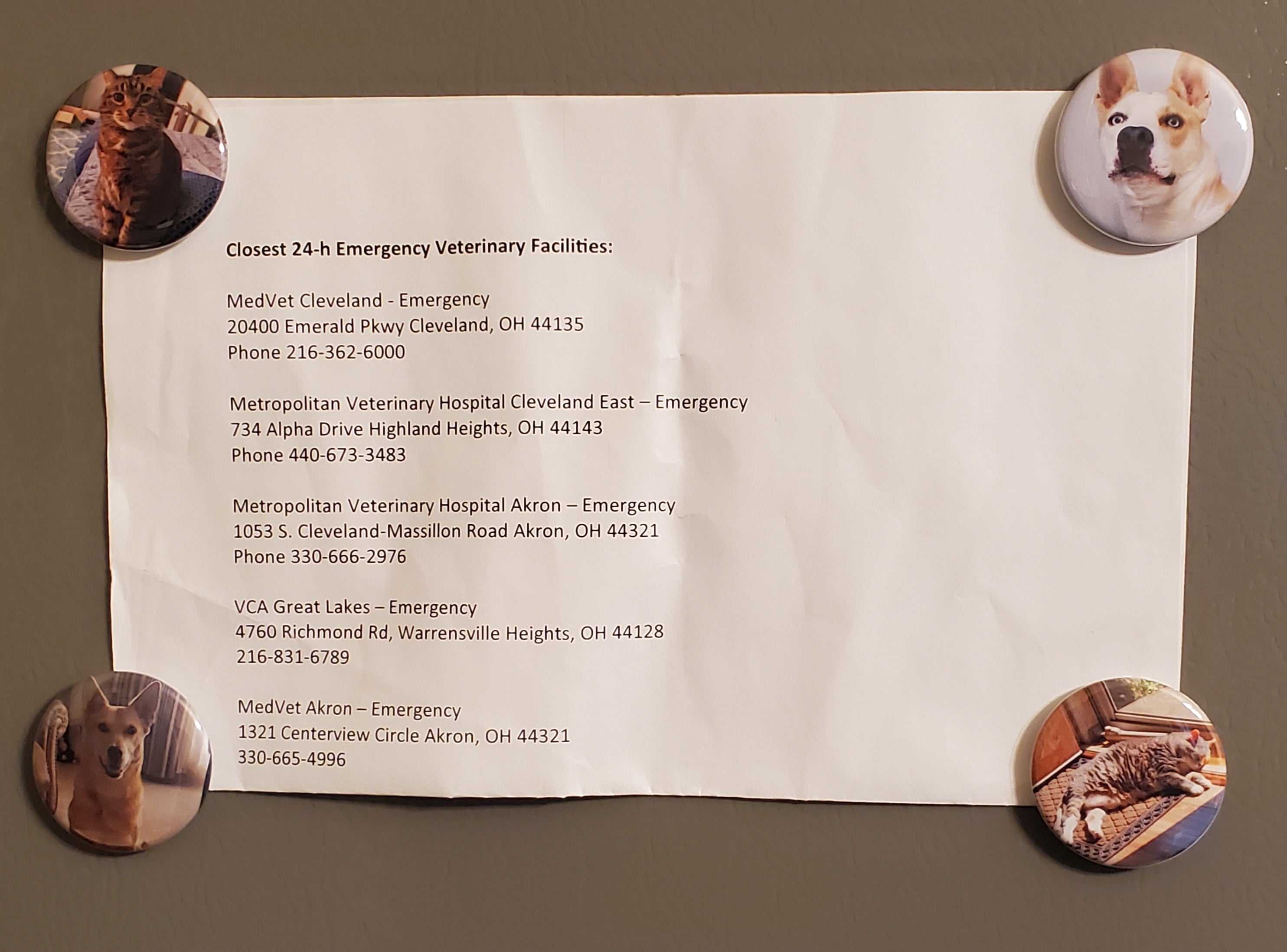 Custom 1.5” Round Custom Photo Magnet – Personalized Fridge Magnet with Your Picture | Small Memory Gift