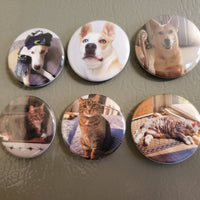 Custom 1.5” Round Custom Photo Magnet – Personalized Fridge Magnet with Your Picture | Small Memory Gift